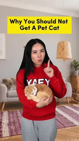Siowei on Coverstar, video from Aug 24: Are u a dog person or cat person?